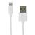 I-CABLE 100 BRANCO (11.6PCB-001R0008A) I-CABLE